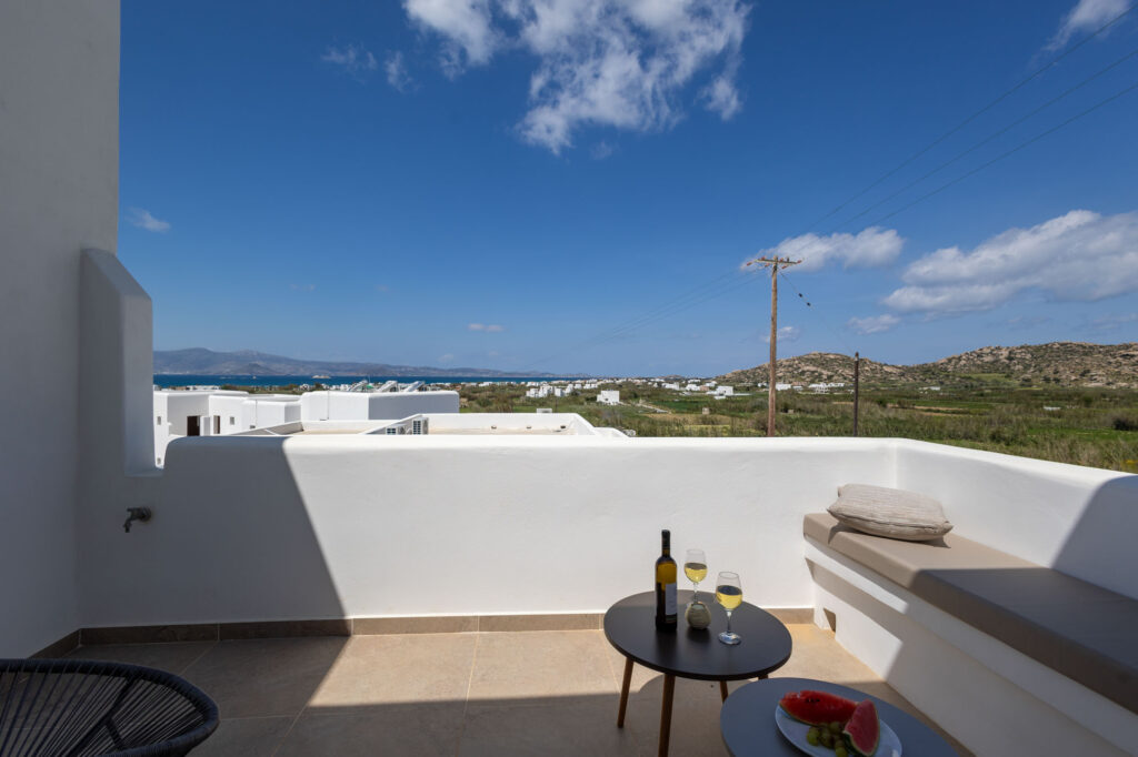 DELUXE DOUBLE ROOM WITH SEA VIEW-069
