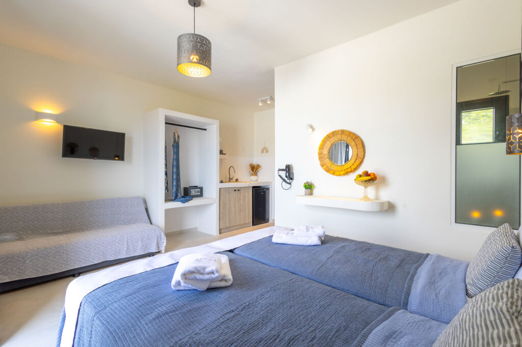 DELUXE DOUBLE ROOM WITH SEA VIEW AND ONE SOFA-18