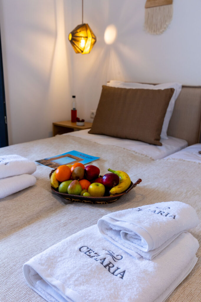 ELEGANT TWIN ROOM WITH SEA VIEW-10