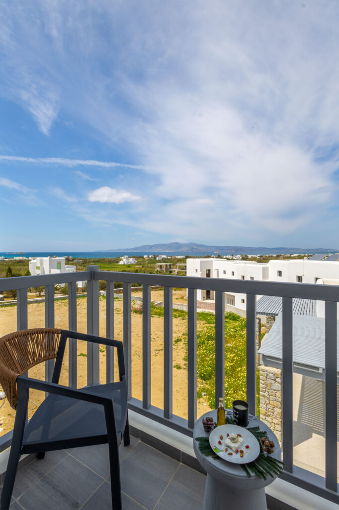 SUPERIOR TRIPLE ROOM WITH SEA VIEW-18
